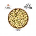 BestMalz Pilsner Malt