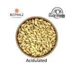 BestMalz Acidulated Malt