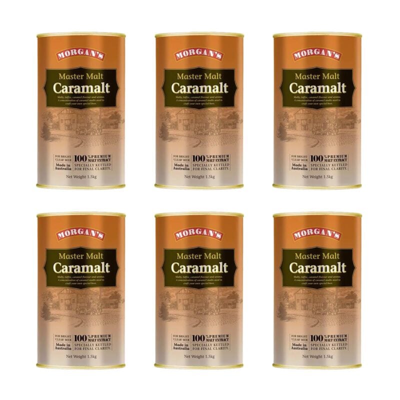 Morgans Master Malts Caramalt pack of 6 - Image 2